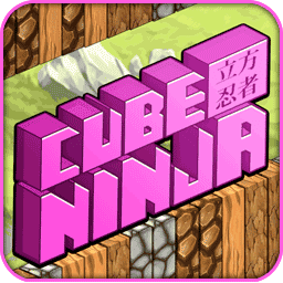 Cube Ninja